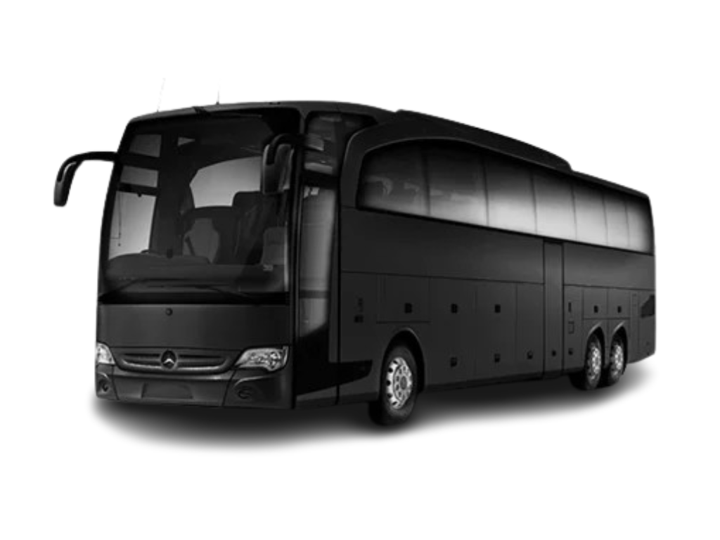 EXECUTIVE COACH