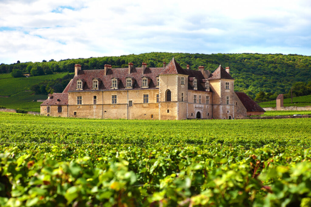 wine heritage, Bordeaux